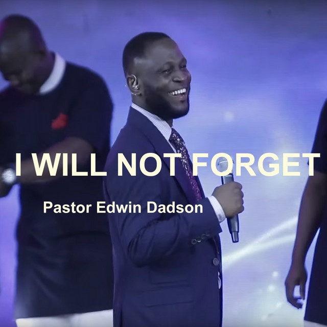 I Will Not Forget cover artwork